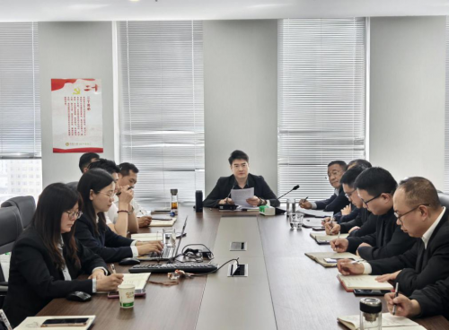中国人寿财险保定市中心支公司召开2025年一季度经营形势分析