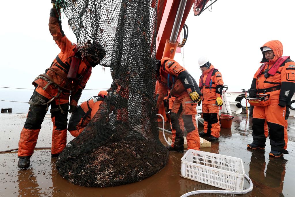 探寻北极海底世界的奥秘